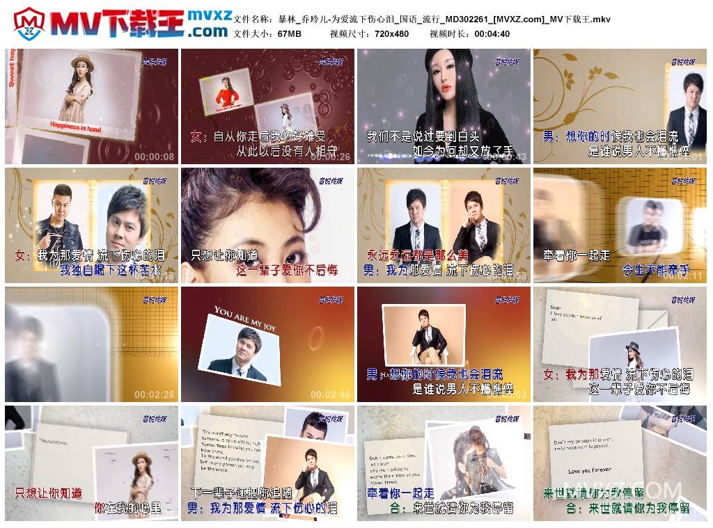 暴林_乔玲儿-为爱流下伤心泪_国语_流行_MD302261